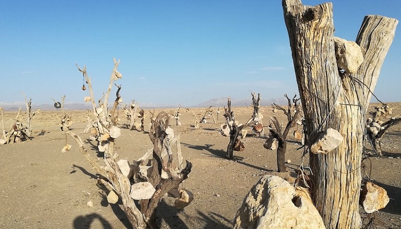 مکان های ترسناک در ایران: باغ سنگی سیرجان