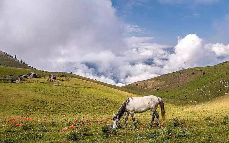 جاهای دیدنی گیلان در فصل بهار: سوباتان