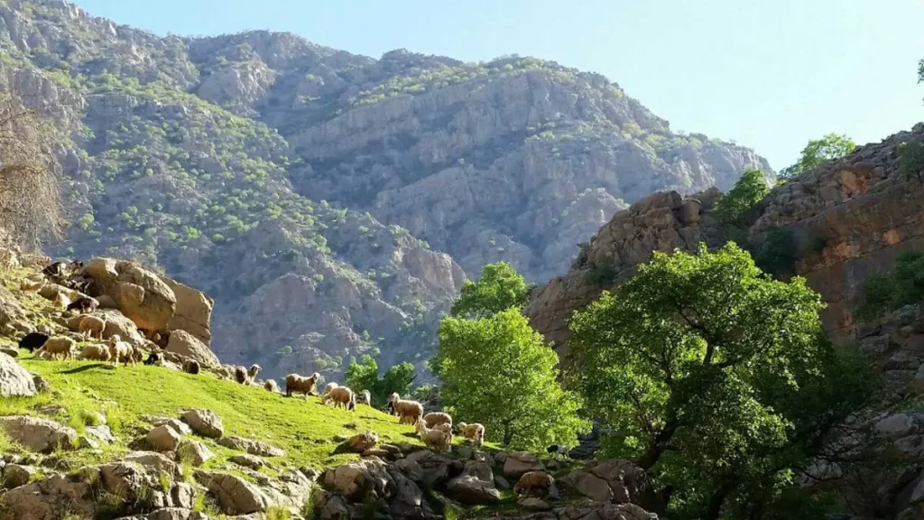 دشت شیمبار چهارمحال و بختیاری